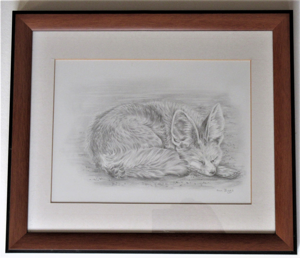 Pencil drawing of a fox cub, Ann Biggs, framed, signed, c2000
