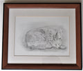Pencil drawing of a fox cub, Ann Biggs, framed, signed, c2000