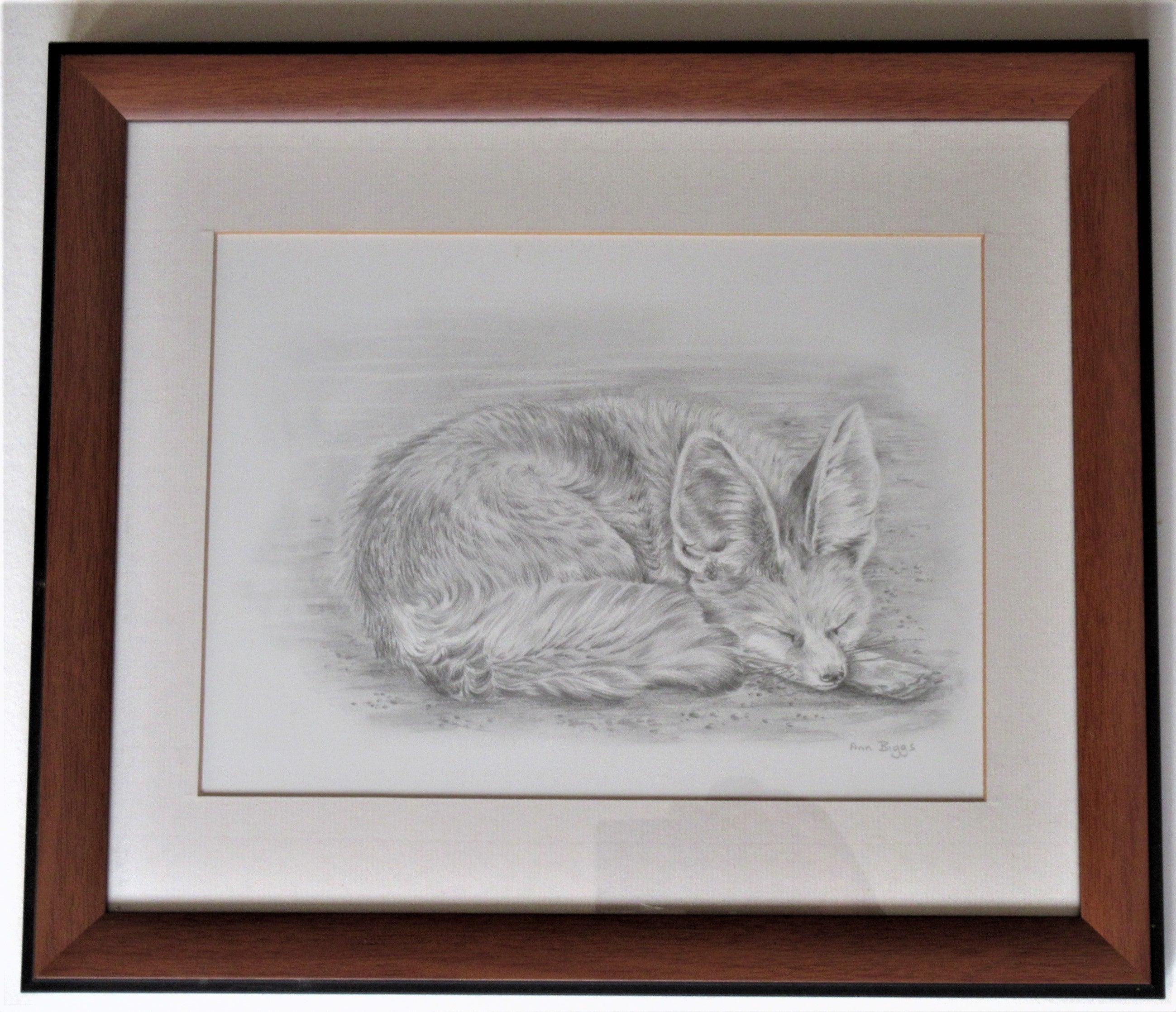 Pencil drawing of a fox cub, Ann Biggs, framed, signed, c2000