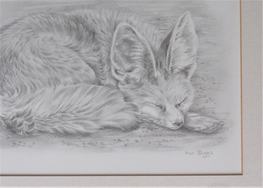 Pencil drawing of a fox cub, Ann Biggs, framed, signed, c2000