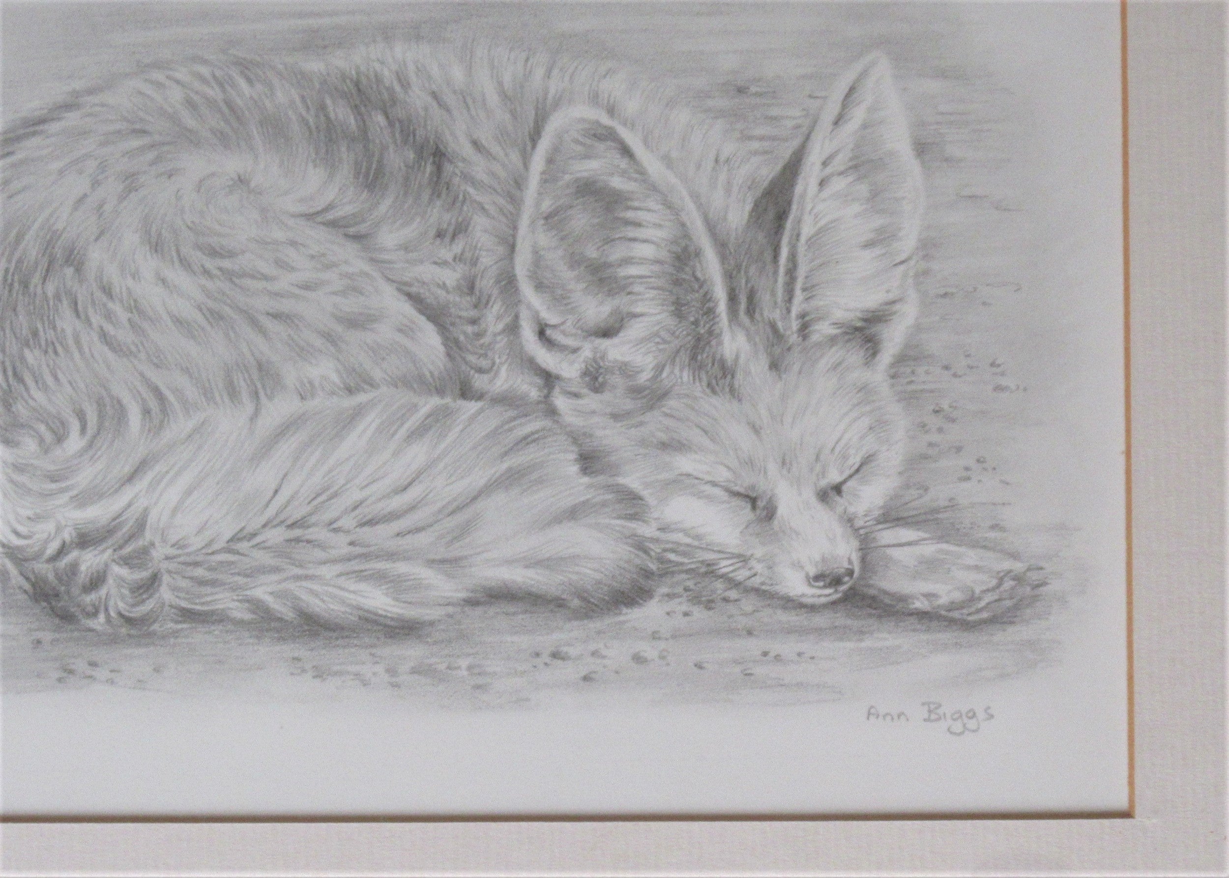 Pencil drawing of a fox cub, Ann Biggs, framed, signed, c2000