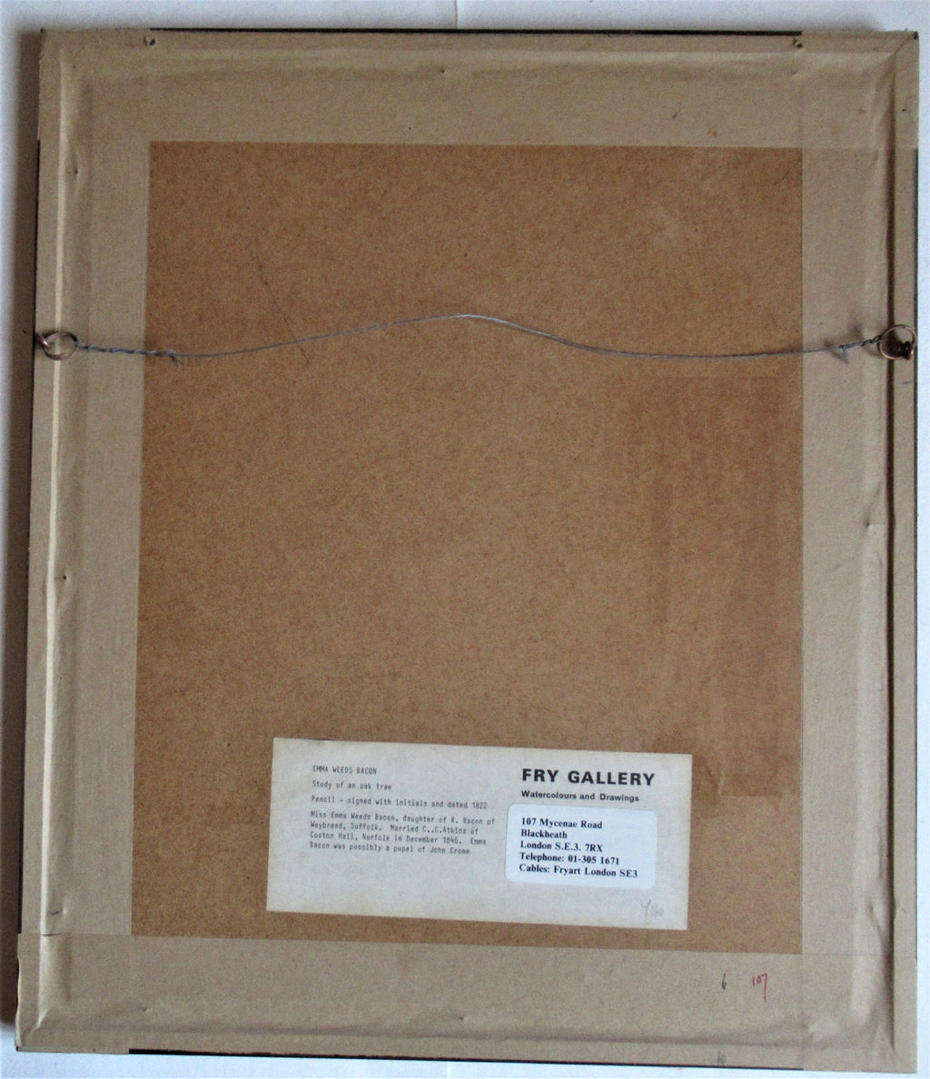 Study of an Oak Tree – Emma Weeds Bacon, Suffolk, 1822 (Pencil Drawing)