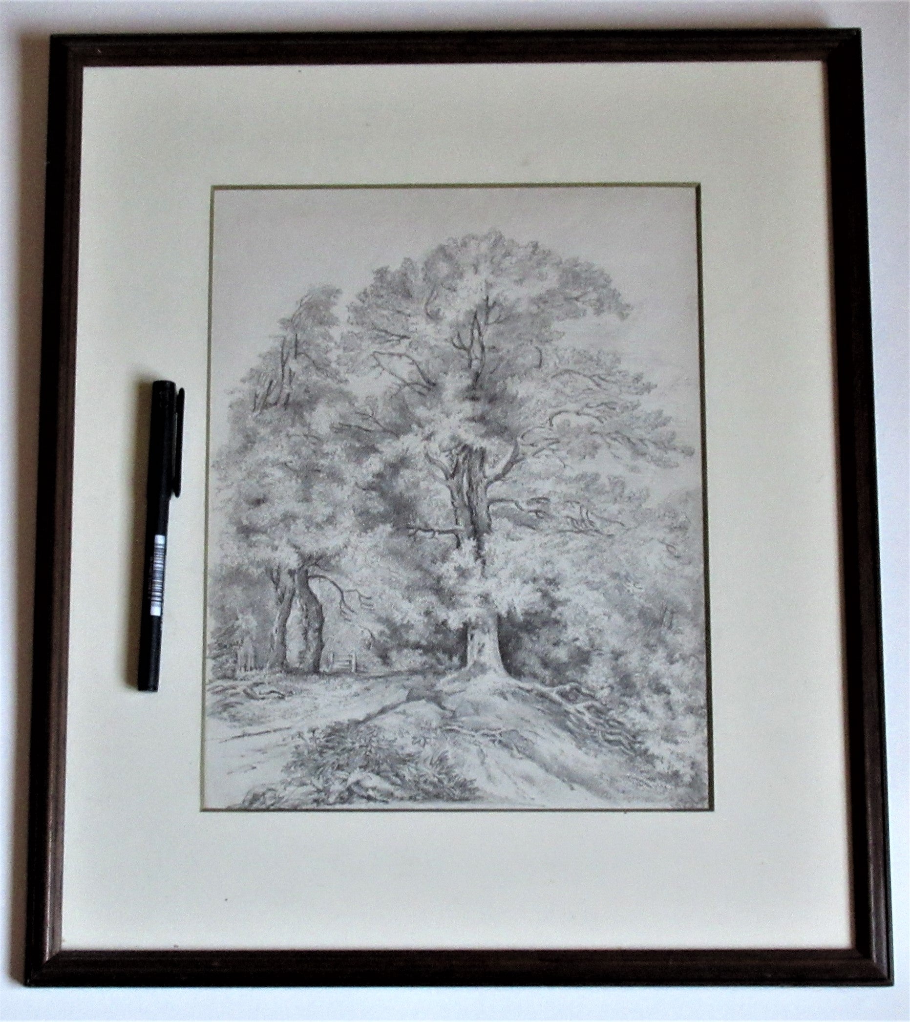 Study of an Oak Tree – Emma Weeds Bacon, Suffolk, 1822 (Pencil Drawing)