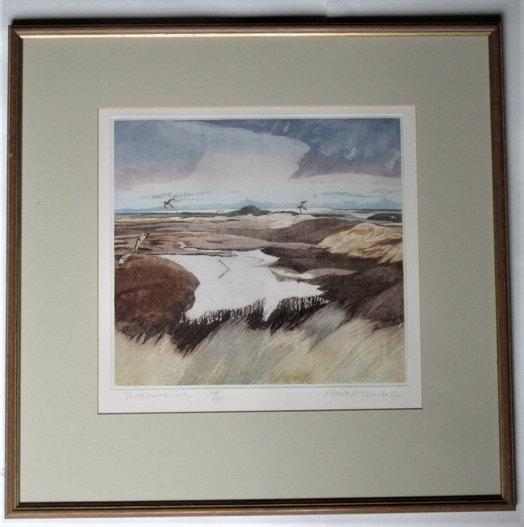 Robert Greenhalf SWLA signed limited edition print, etching, Short-eared Owl