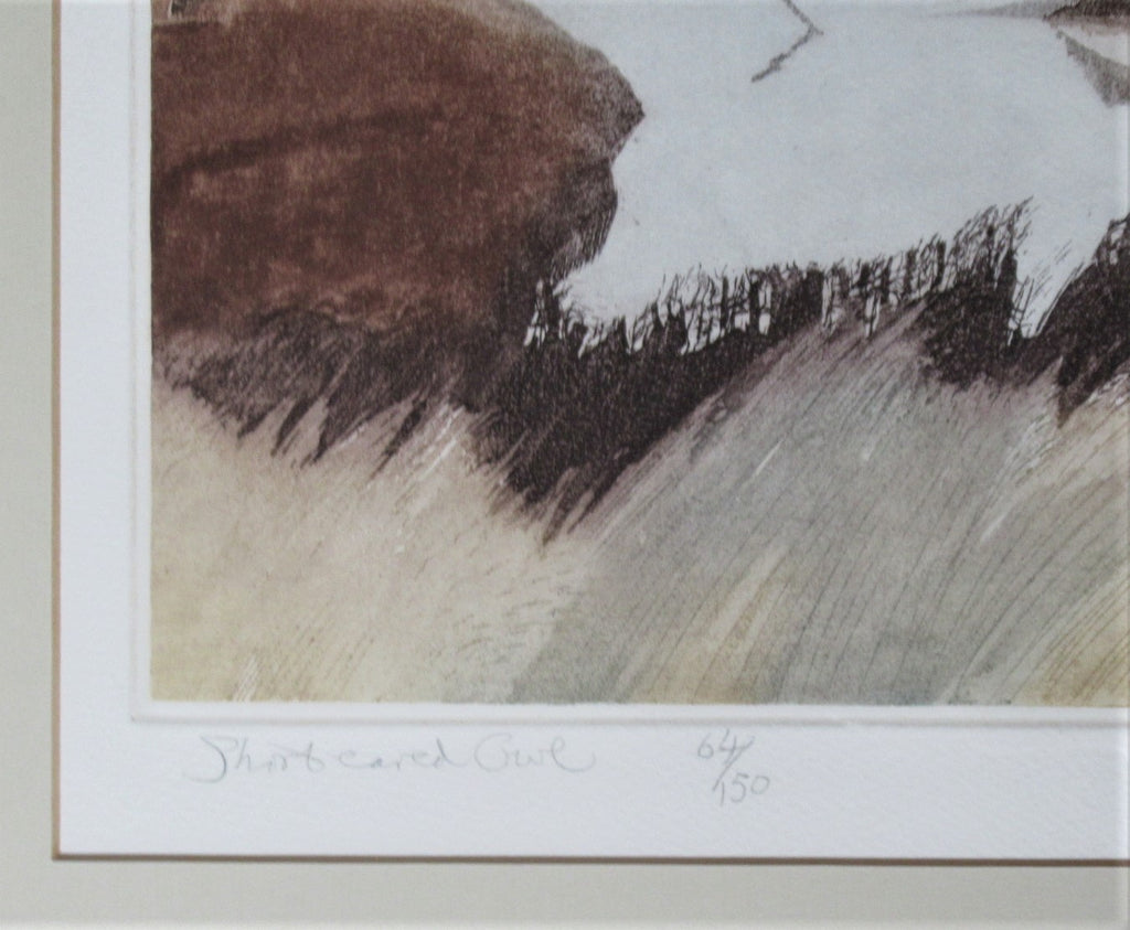 Robert Greenhalf SWLA signed limited edition print, etching, Short-eared Owl