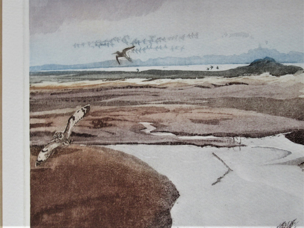 Robert Greenhalf SWLA signed limited edition print, etching, Short-eared Owl