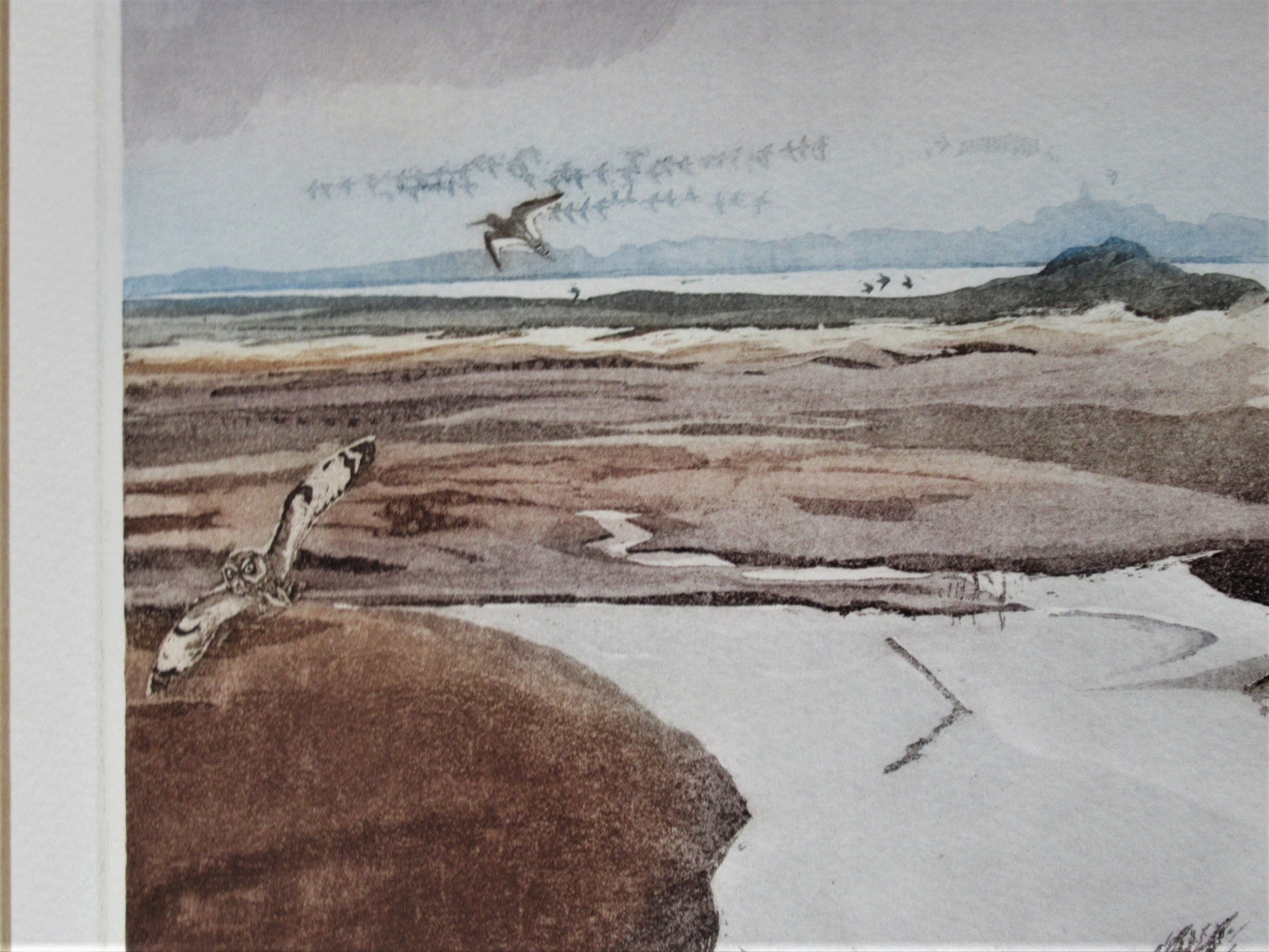 Robert Greenhalf SWLA signed limited edition print, etching, Short-eared Owl