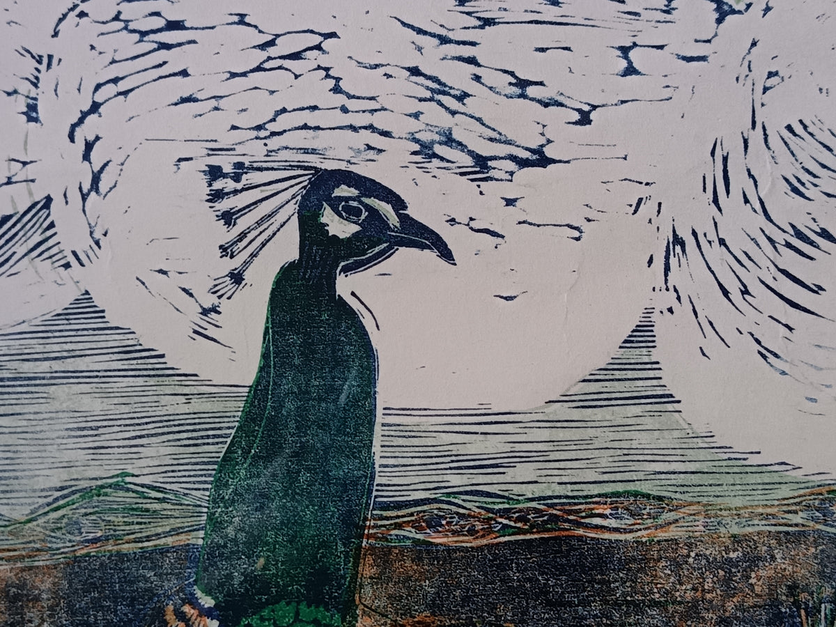 Pauline S Hall SWLA, Peacocks, woodcut print, artist's proof