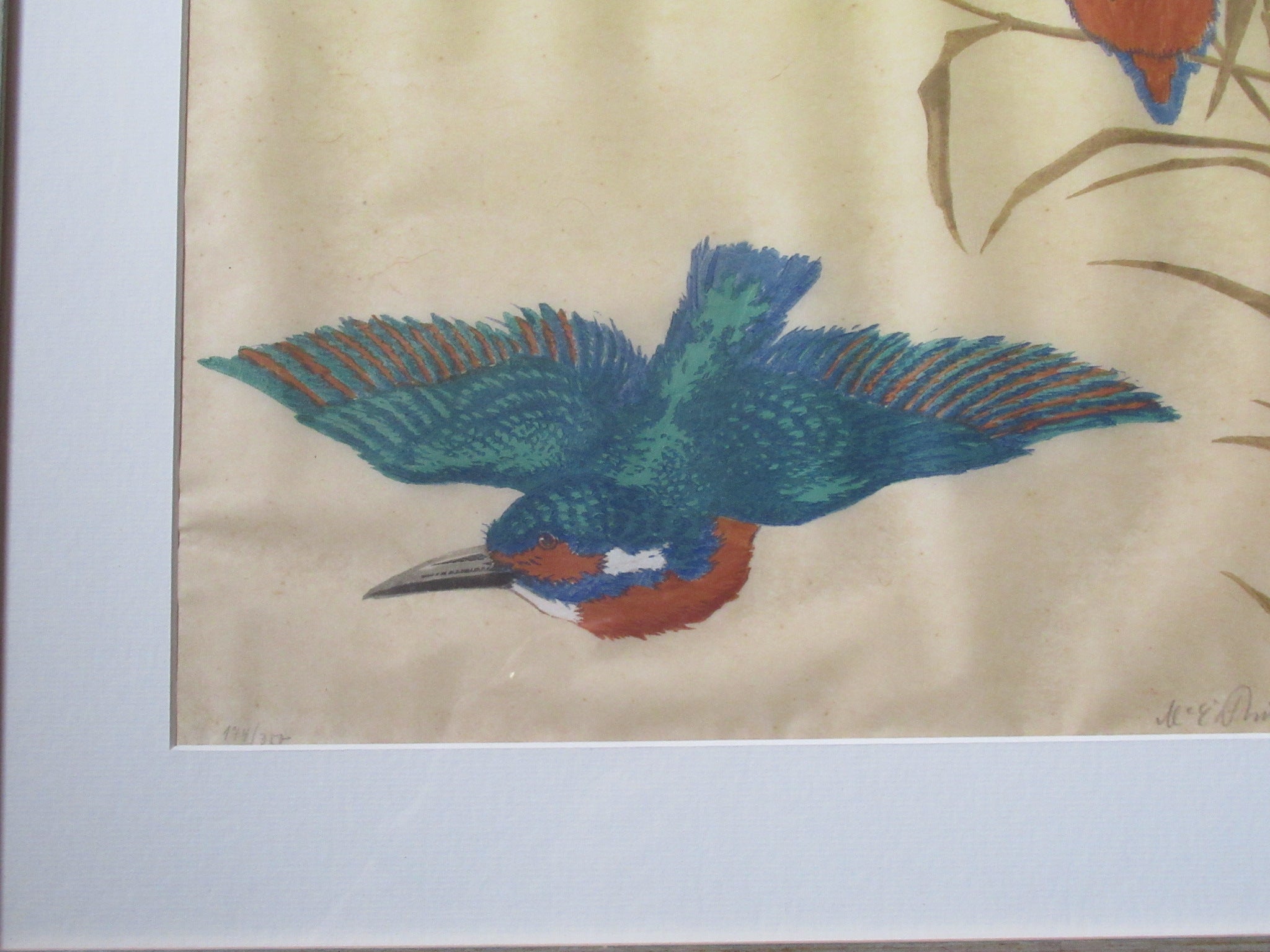 Martin Erich Philipp, original colour woodcut print, Kingfishers, c1935, framed