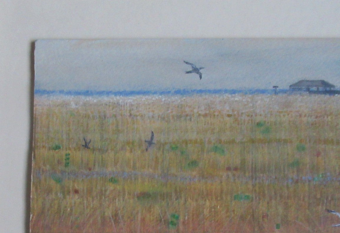 Caroline McAdam Clark oil on board painting, Orford Ness, Suffolk, c1990, framed
