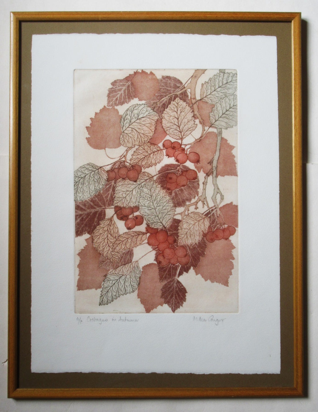 Original artist's proof print, Crataegus in Autumn, Miriam Macgregor, framed