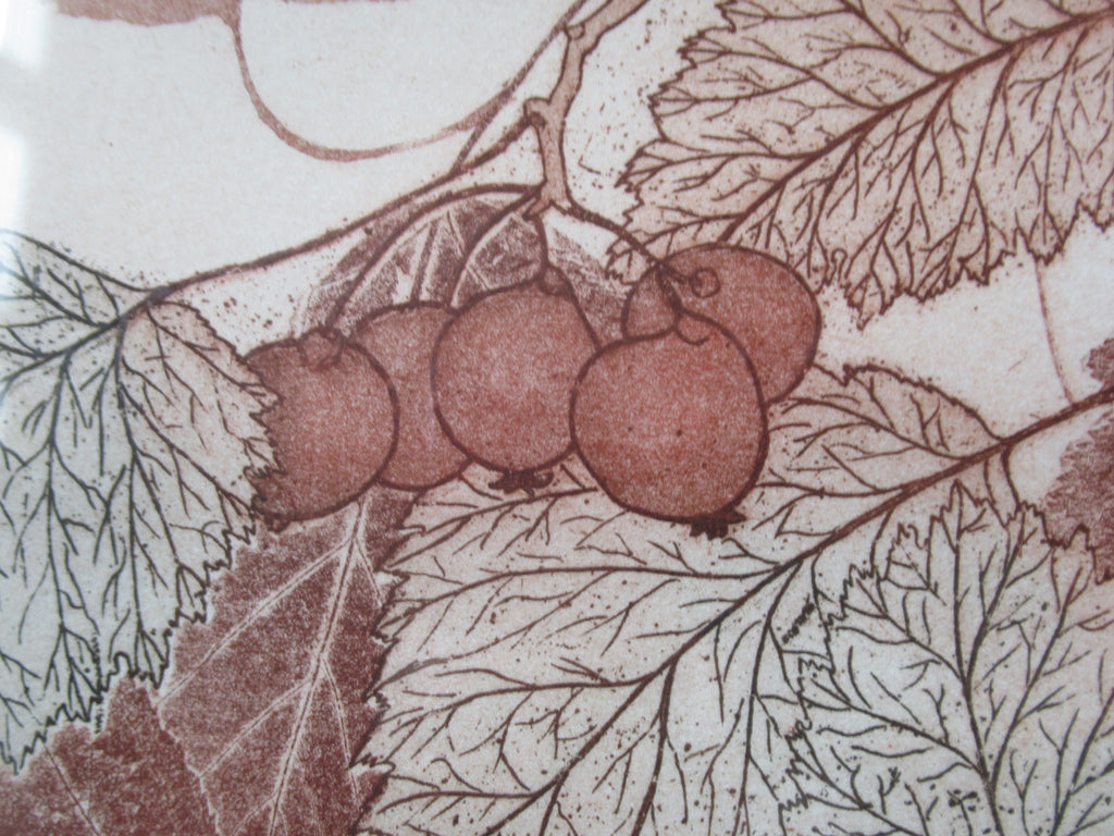 Original artist's proof print, Crataegus in Autumn, Miriam Macgregor, framed