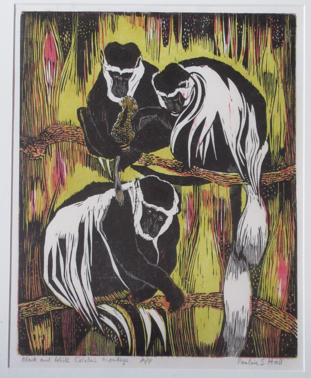 Pauline S Hall SWLA, Colobus Monkeys, woodcut print, artist's proof