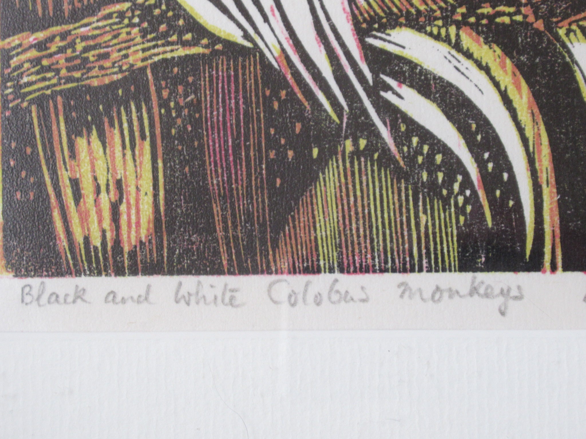Pauline S Hall SWLA, Colobus Monkeys, woodcut print, artist's proof