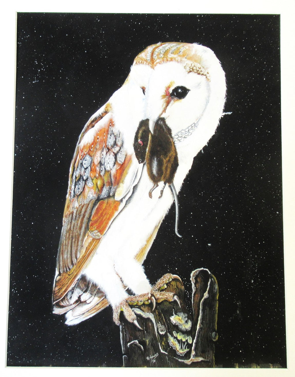 R Howes, Barn Owl with Prey, watercolour and gouache painting, framed, 1978