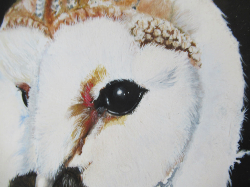 R Howes, Barn Owl with Prey, watercolour and gouache painting, framed, 1978