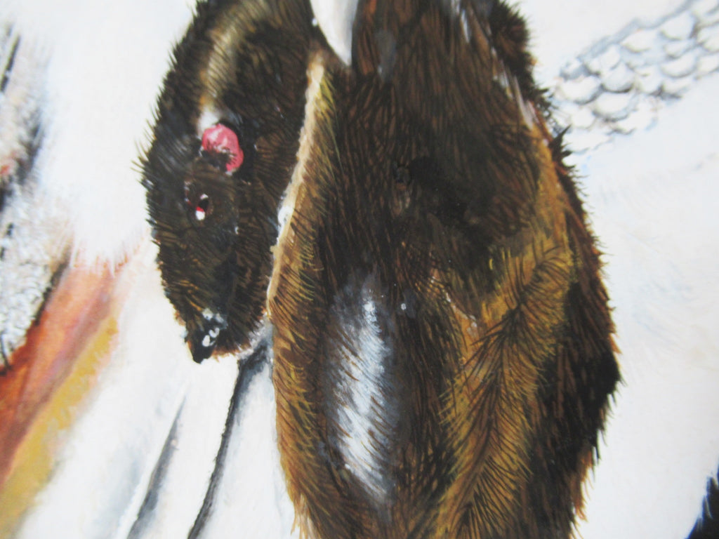 R Howes, Barn Owl with Prey, watercolour and gouache painting, framed, 1978