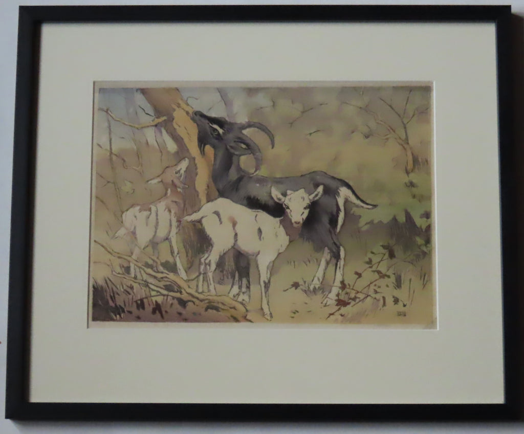 Allen W Seaby (1867-1953) original colour woodcut print, Goat and Kids, c1950