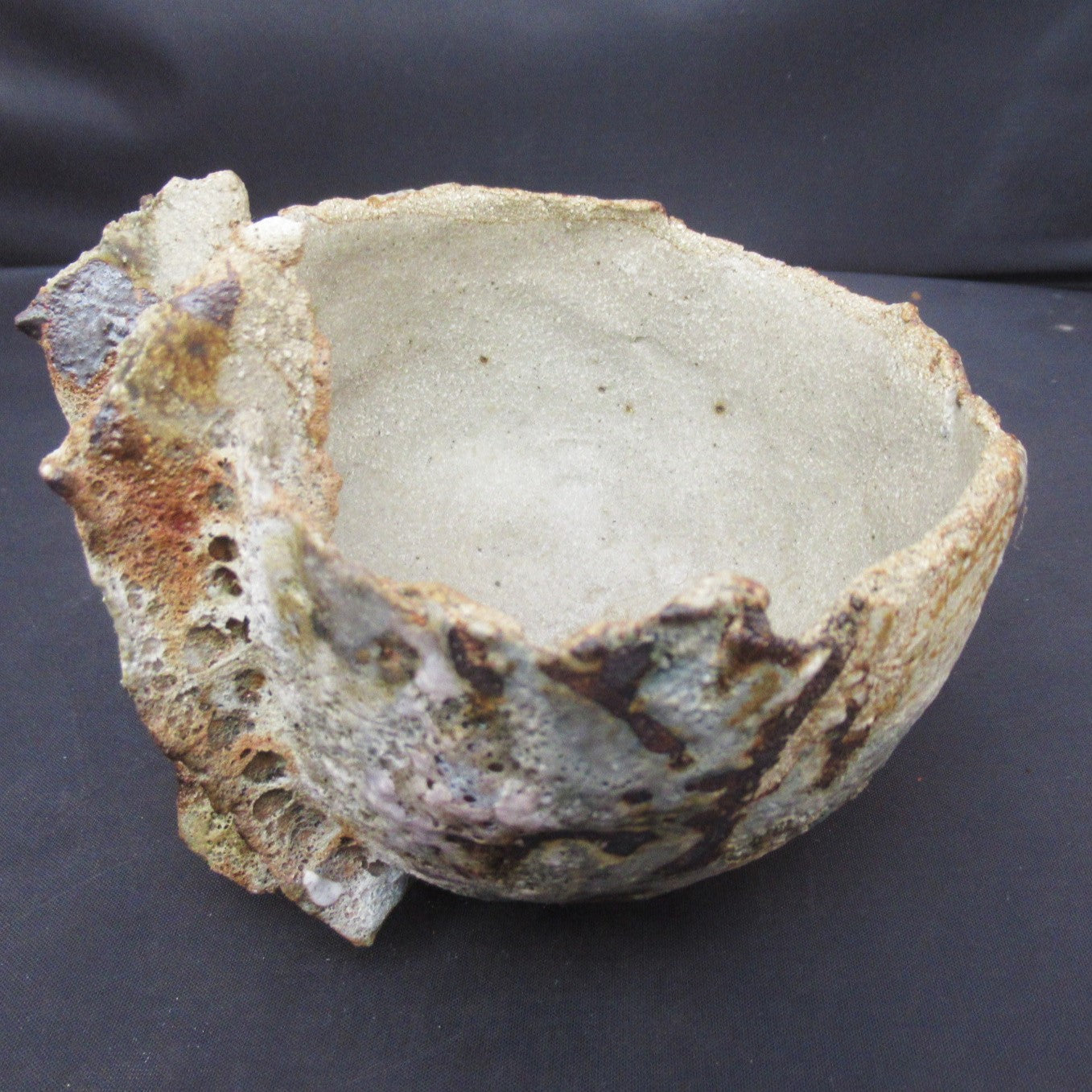Tamsyn Trevorrow, British contemporary studio pottery Rock Pool bowl