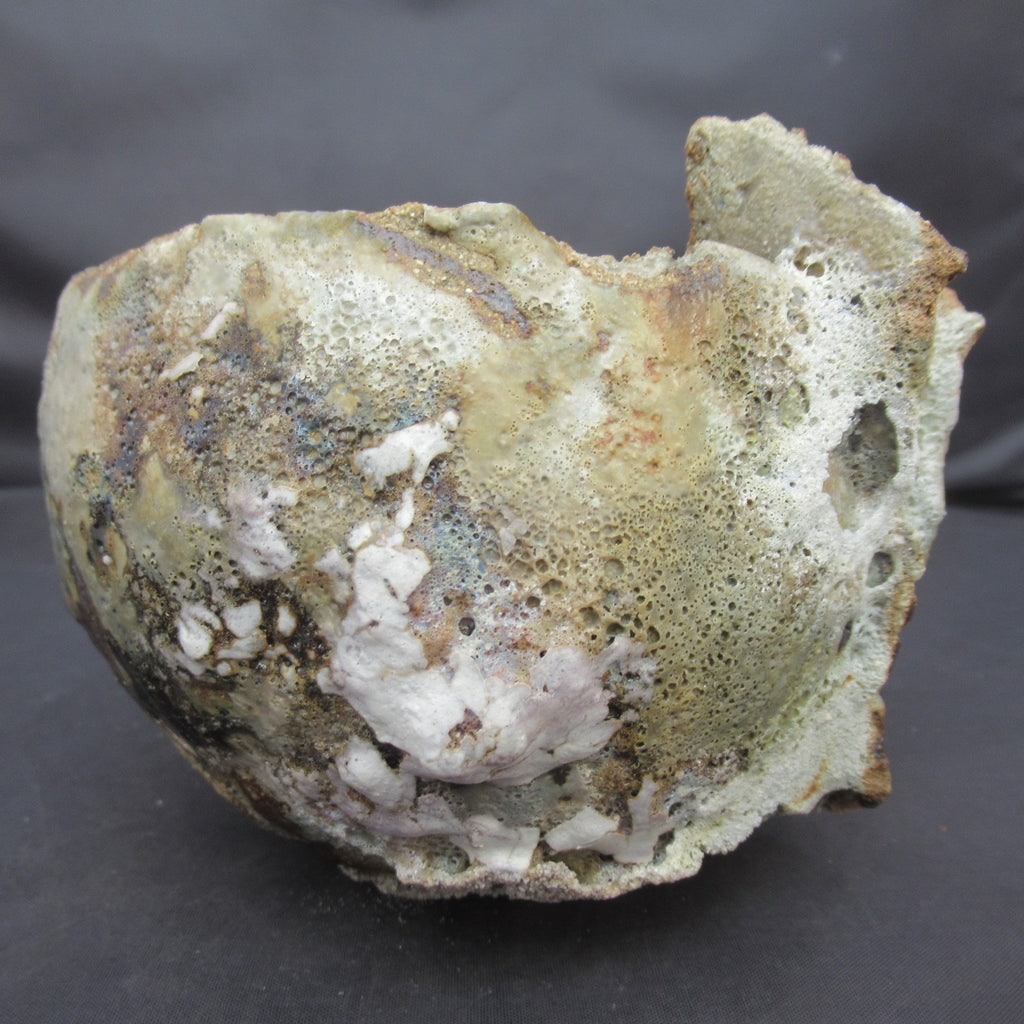 Tamsyn Trevorrow, British contemporary studio pottery Rock Pool bowl