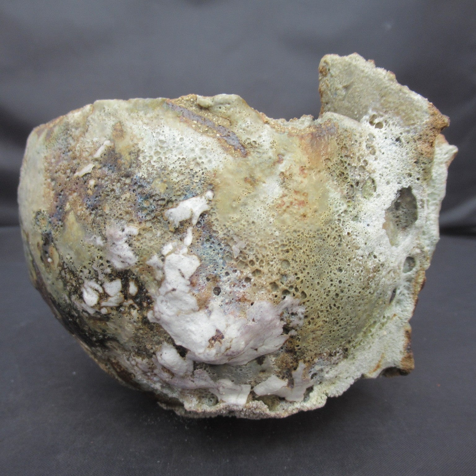 Tamsyn Trevorrow, British contemporary studio pottery Rock Pool bowl