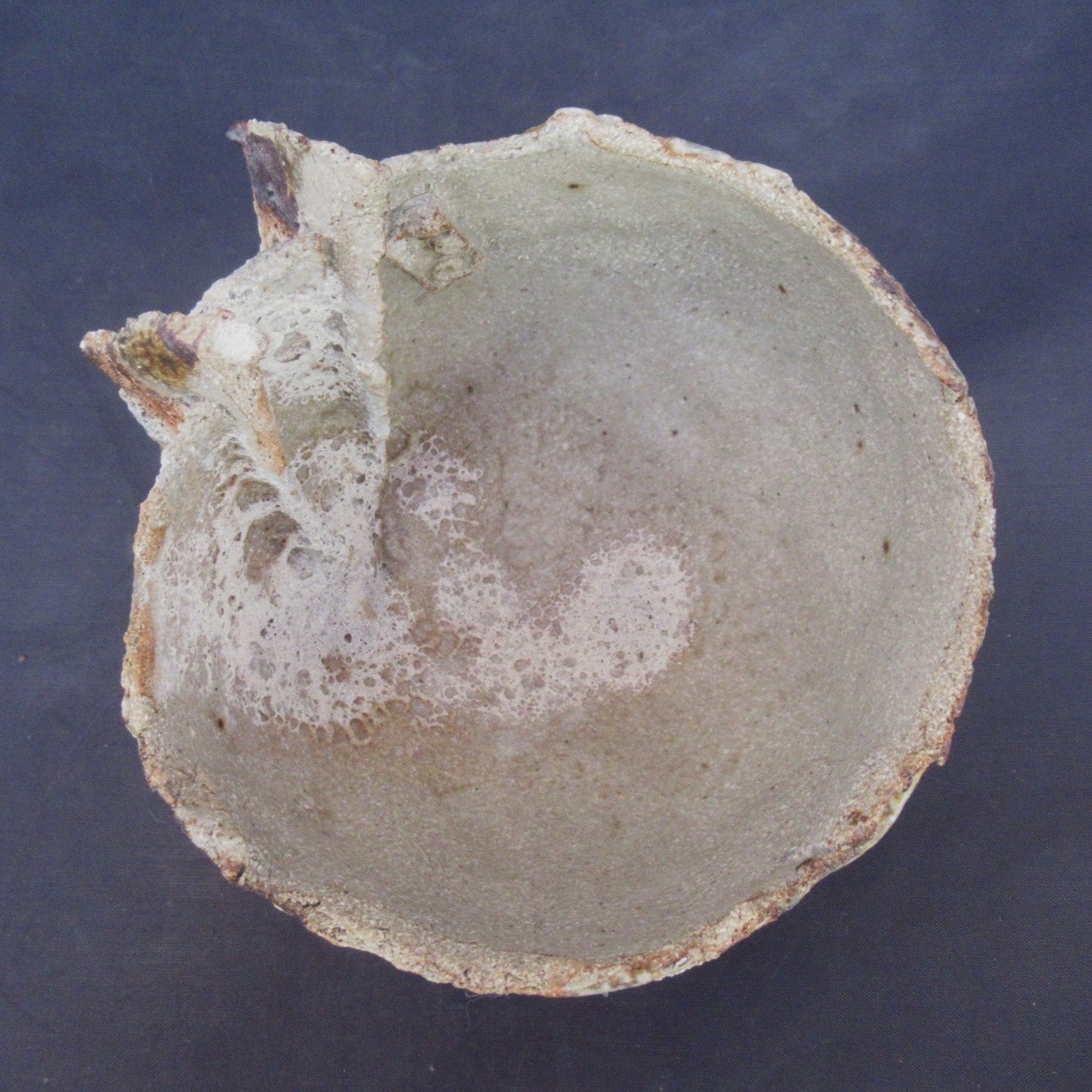 Tamsyn Trevorrow, British contemporary studio pottery Rock Pool bowl