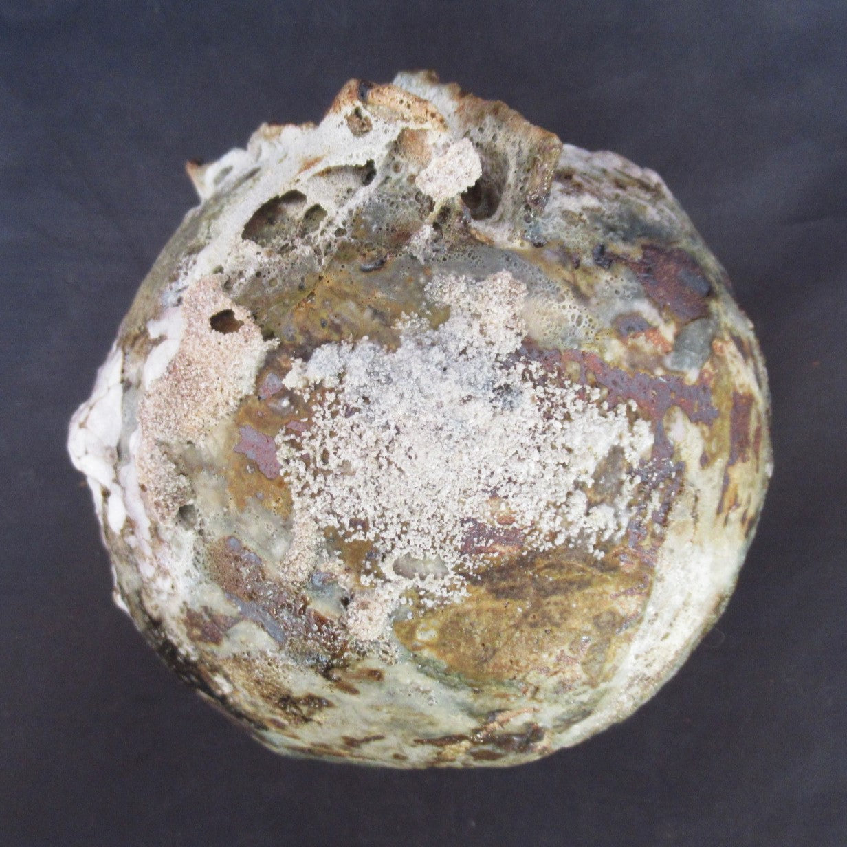 Tamsyn Trevorrow, British contemporary studio pottery Rock Pool bowl