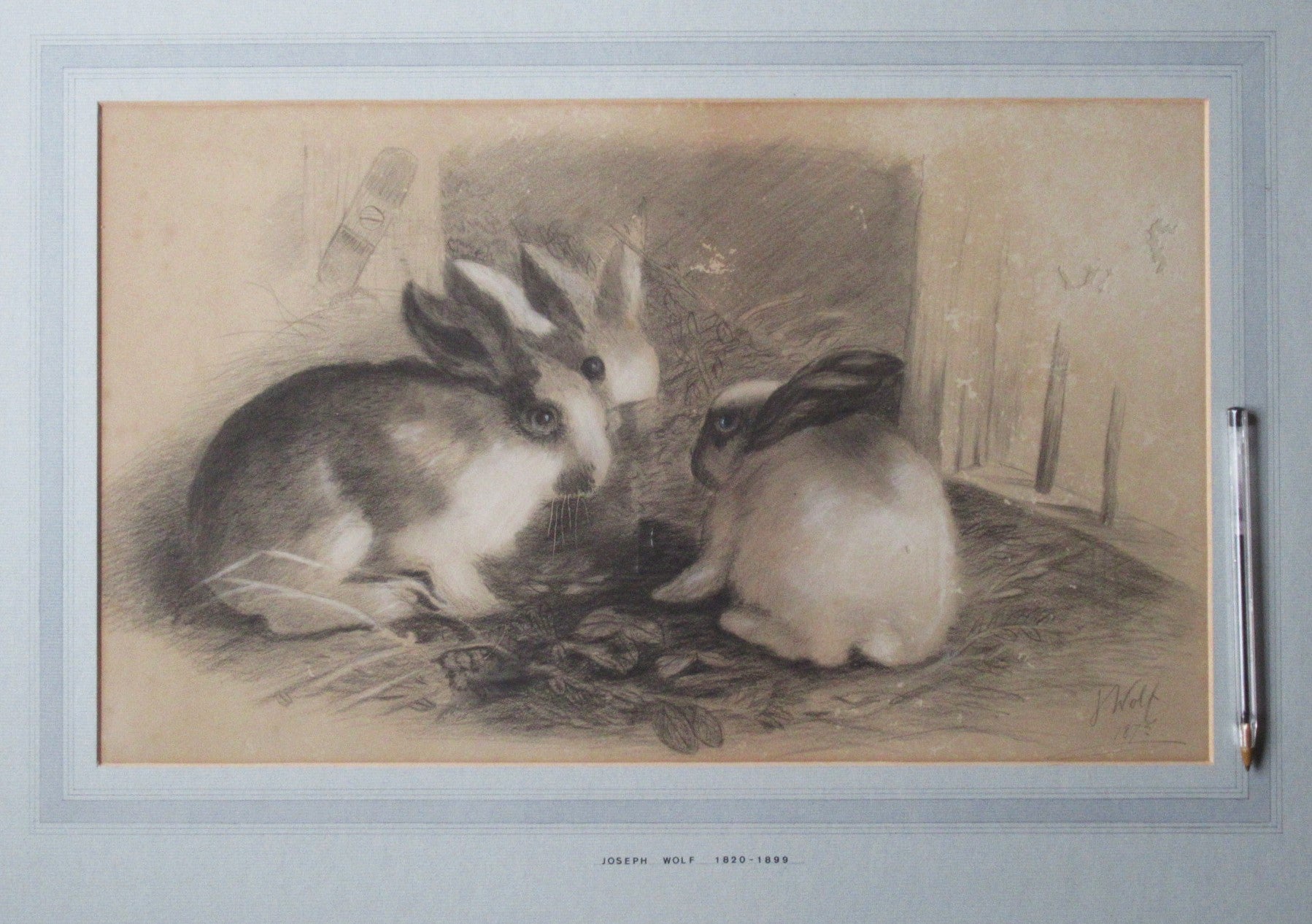 Joseph Wolf, rare original drawing of three rabbits, signed & dated 1875 framed