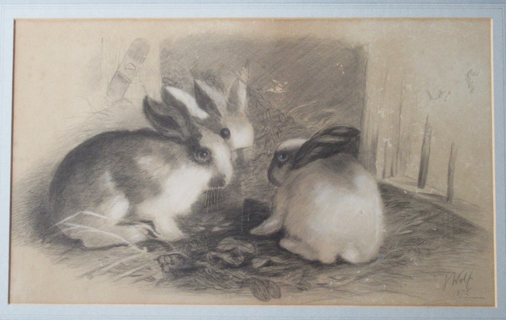 Joseph Wolf, rare original drawing of three rabbits, signed & dated 1875 framed