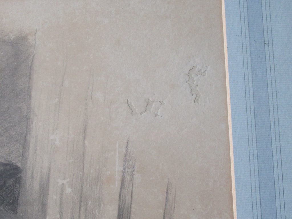 Joseph Wolf, rare original drawing of three rabbits, signed & dated 1875 framed