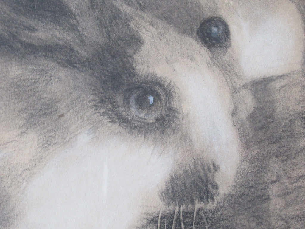 Joseph Wolf, rare original drawing of three rabbits, signed & dated 1875 framed