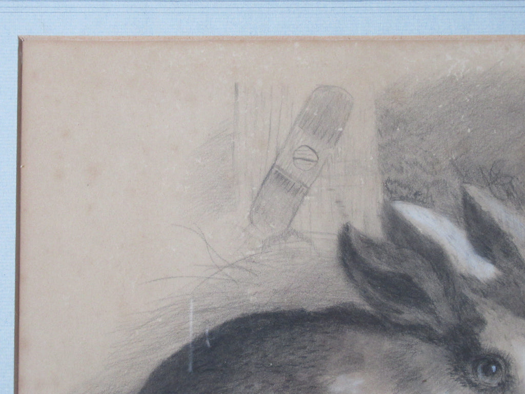 Joseph Wolf, rare original drawing of three rabbits, signed & dated 1875 framed